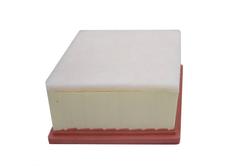 AUTOMEGA 210021410 Air Filter