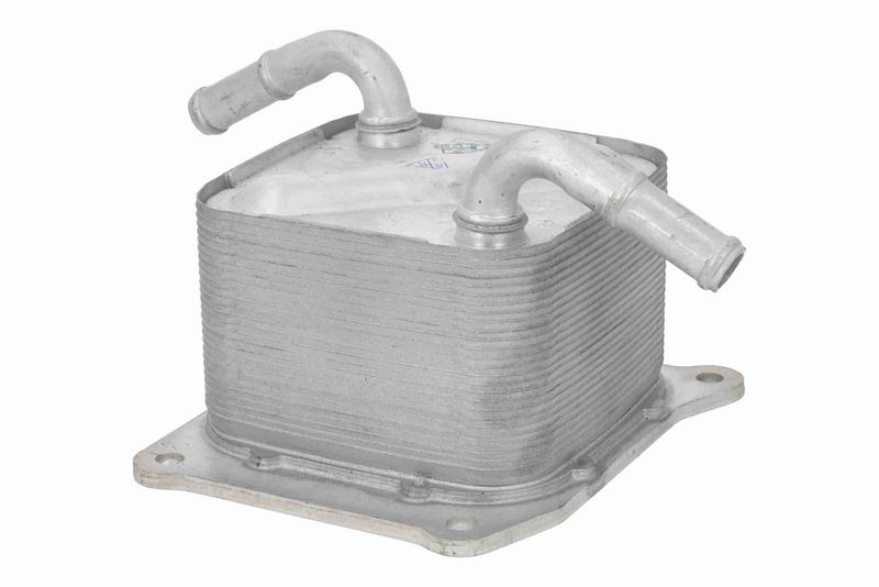 ACKOJA A38-60-0014 Oil Cooler, engine oil