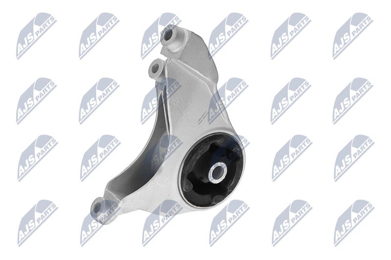 Paigutus, Mootor, NTY ZPS-CH-149