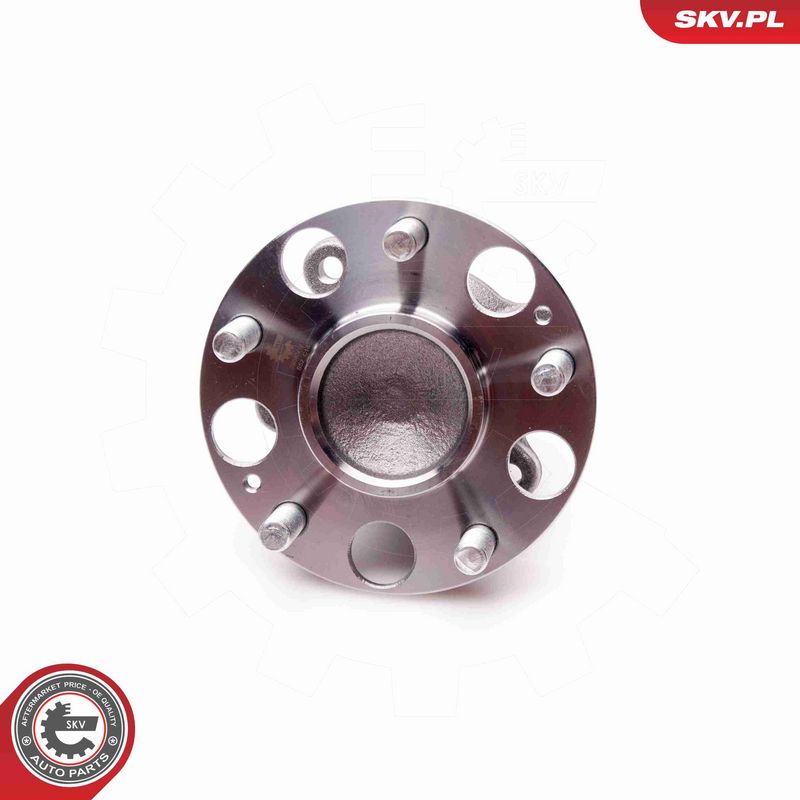 ESEN SKV 29SKV171 Wheel Bearing Kit