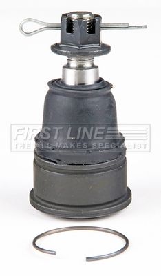FBJ5443_5698360.JPG