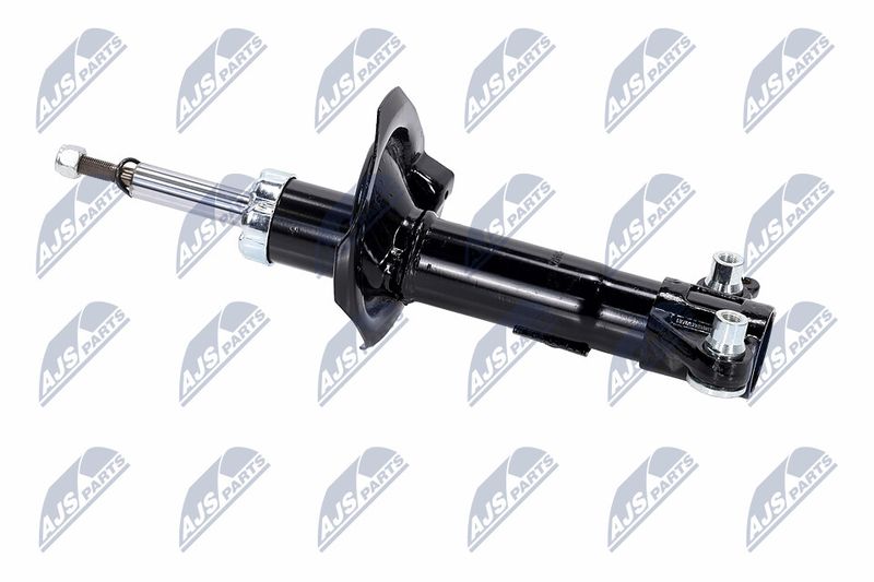 Amort, NTY A-NS-016