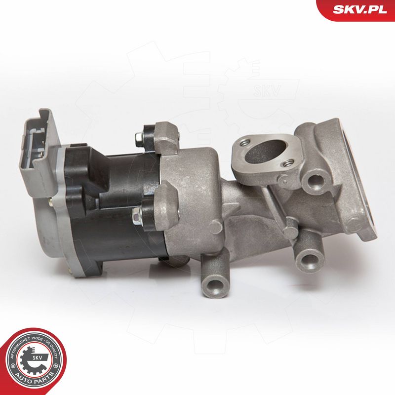 ESEN SKV 14SKV073 EGR Valve