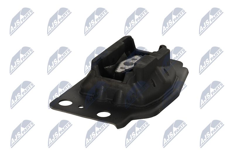 Paigutus, Mootor, NTY ZPS-FR-035