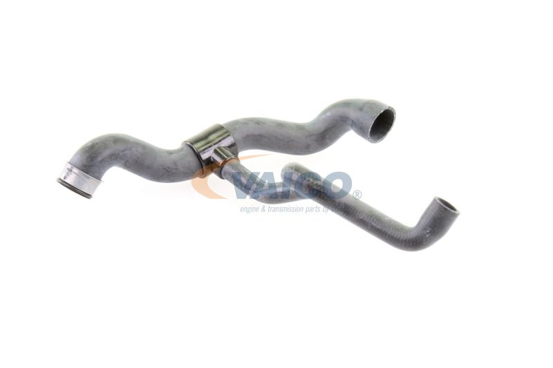 VAICO V30-1660 Radiator Hose
