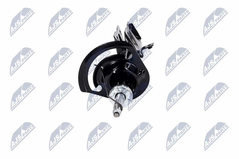 Amort, NTY A-CH-056