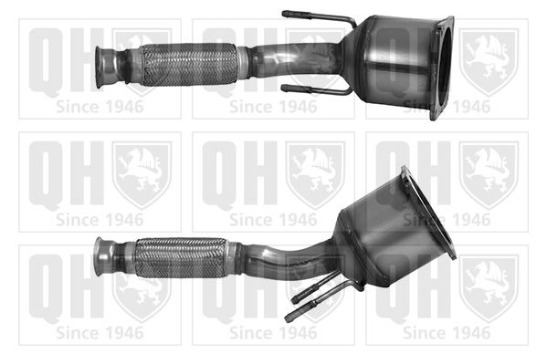 QH_QCAT80177H.JPG