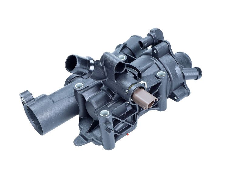 MAXGEAR Termostatas, aušinimo skystis