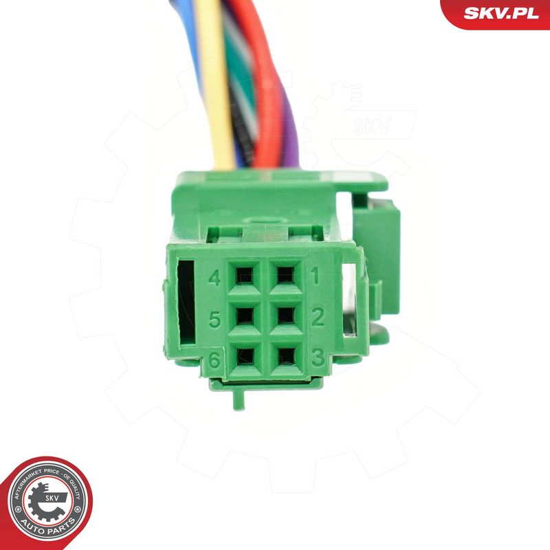 Elektrimootor, tagaluuk, ESEN SKV 52SKV264