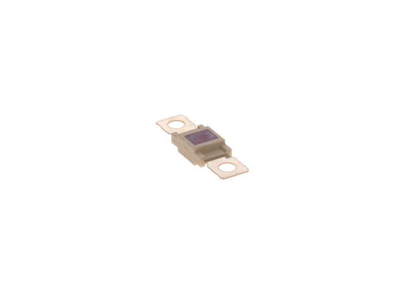 BOSCH 1987531003 Fuse