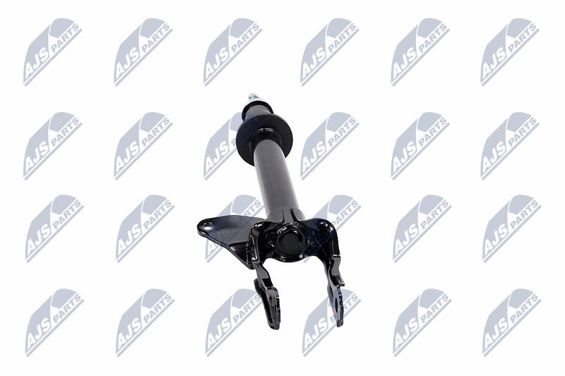 Amort, NTY A-CH-081