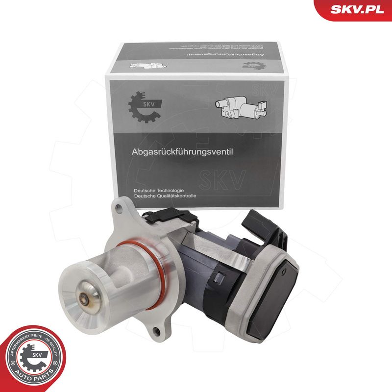 EGR-klapp, ESEN SKV 14SKV306