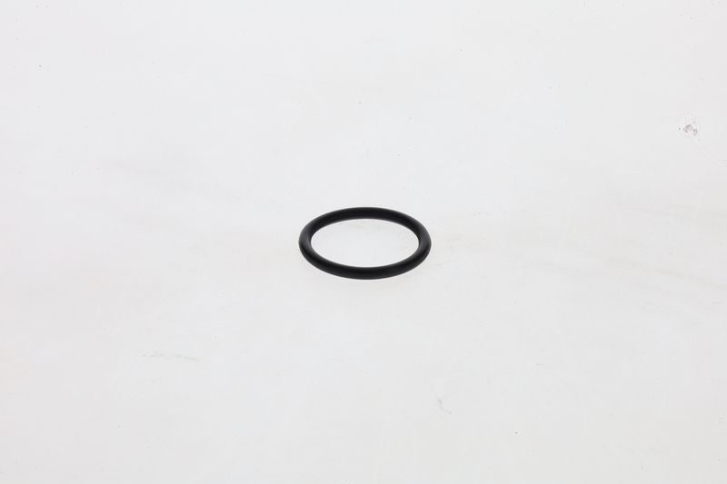 Inel cauciuc 1 460 210 306 BOSCH