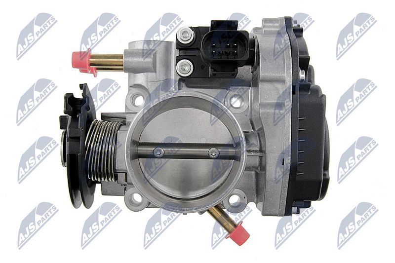 etb-vw-013_4-wm.JPG