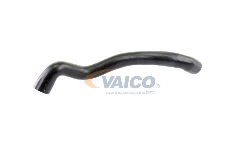 VAICO V30-2686 Radiator Hose