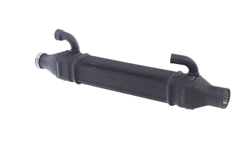 REMANTE 010-001-000022R EGR Module