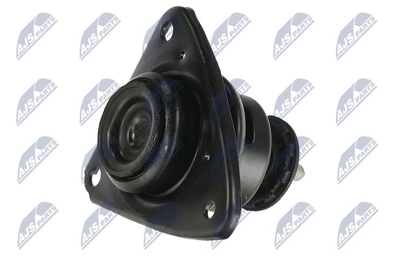 Paigutus, Mootor, NTY ZPS-KA-306