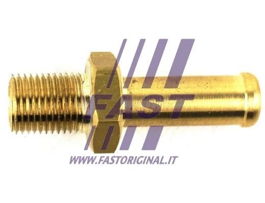 FT53152_1_1.JPG