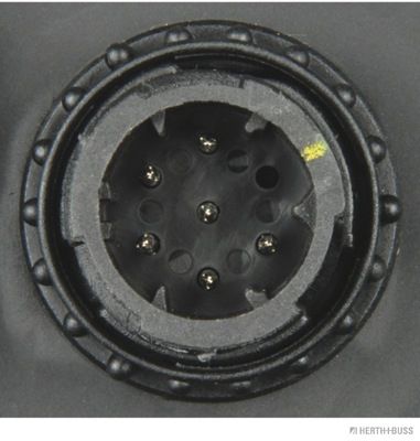 81658078_A.JPG