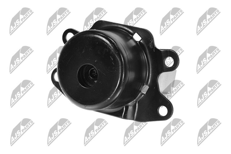 Paigutus, Mootor, NTY ZPS-PL-053