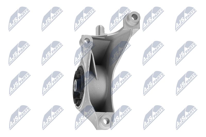 Paigutus, Mootor, NTY ZPS-CH-149