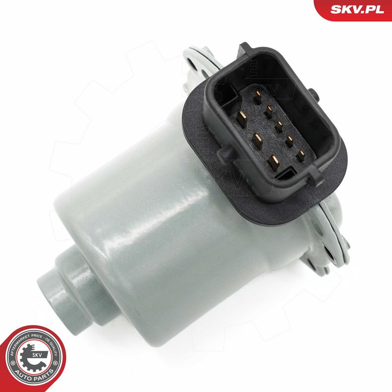 Siduri toimesüsteem, ESEN...