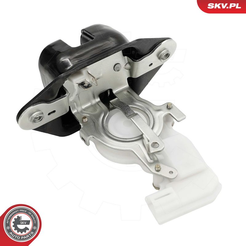 Tagaluugi sulgur, ESEN SKV...