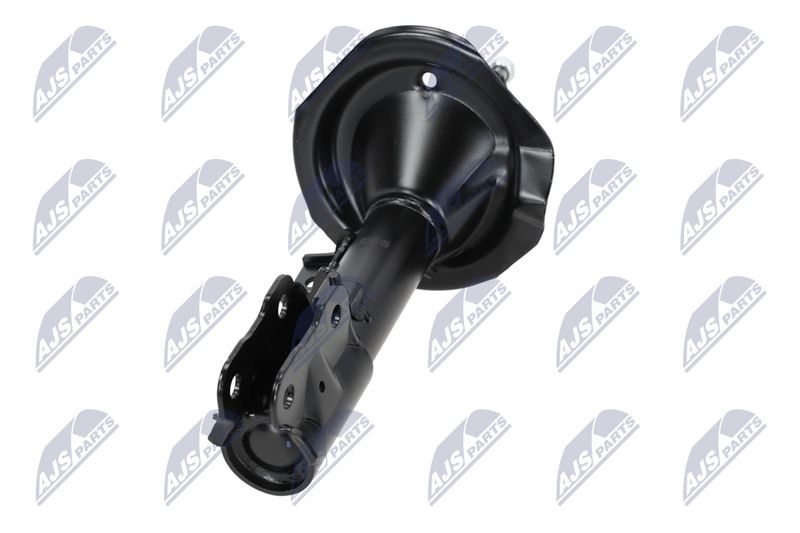 Amort, NTY A-MS-016