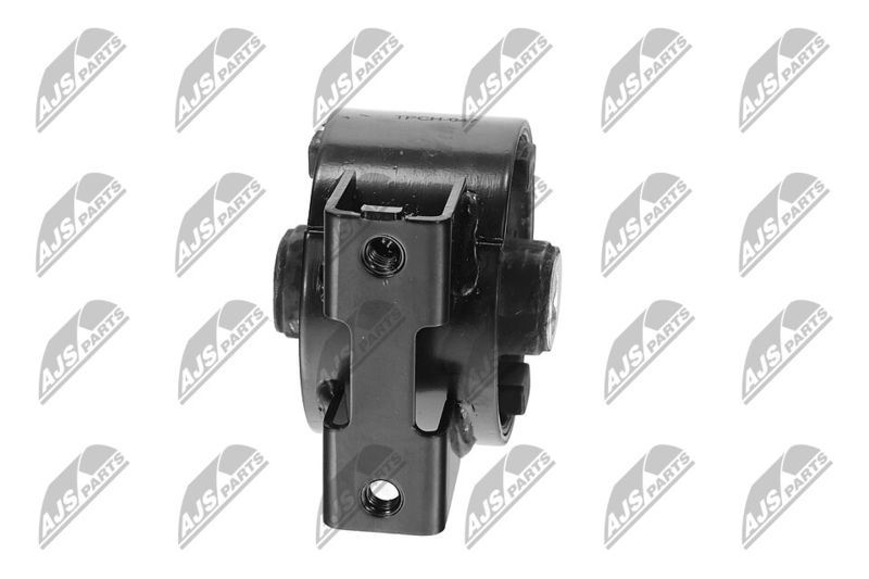 Paigutus, Mootor, NTY ZPS-CH-047