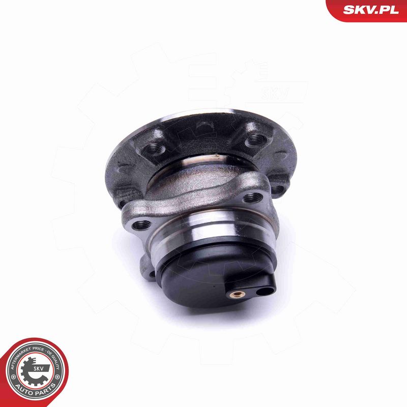 ESEN SKV 29SKV406 Wheel Bearing Kit