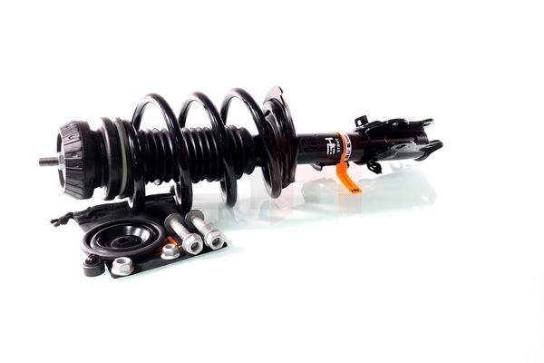 Vedruamort, GH GH-353389C02