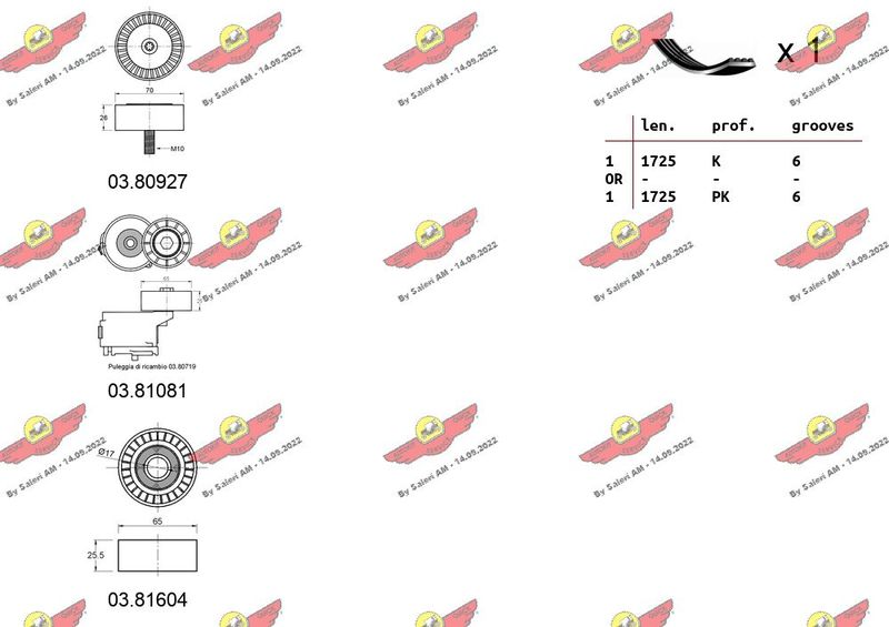 AUTOKIT 06.0118 V-ribbed Belt Set