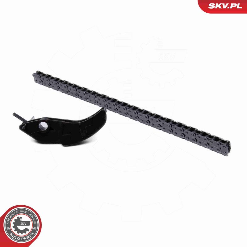 ESEN SKV 21SKV252 Timing Chain Kit