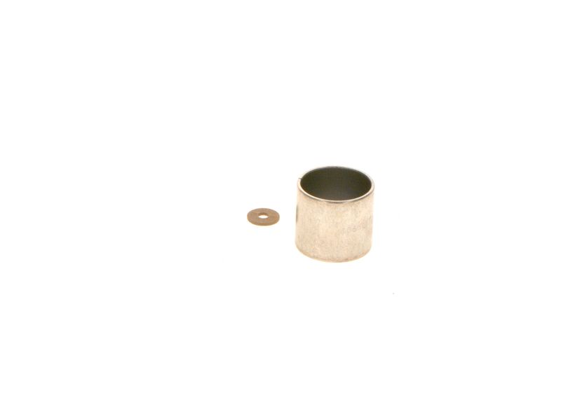 BOSCH F00R0P0883 Bush