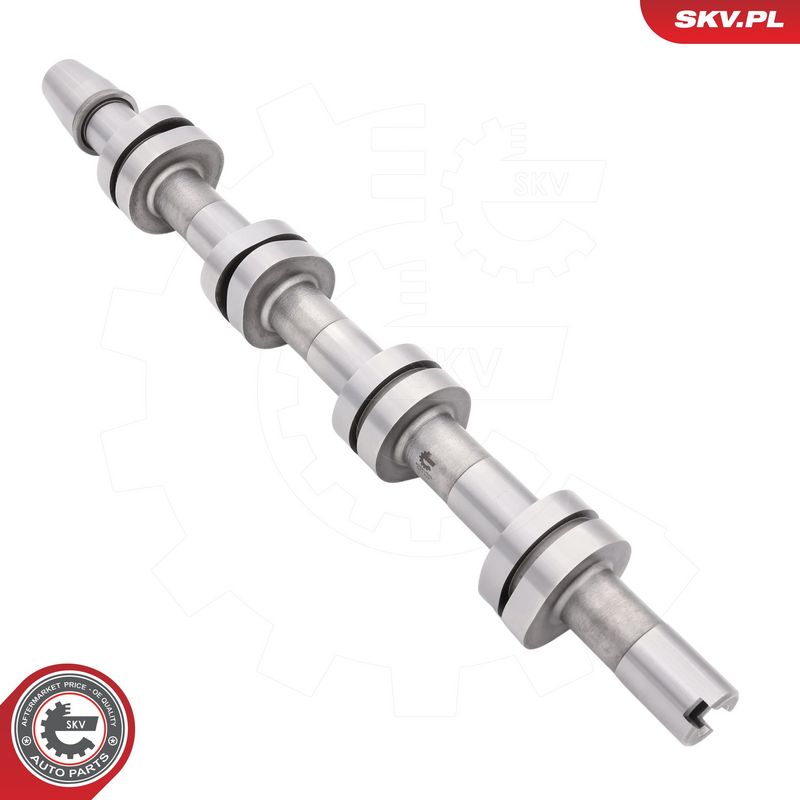 Nukkvõll, ESEN SKV 80SKV029