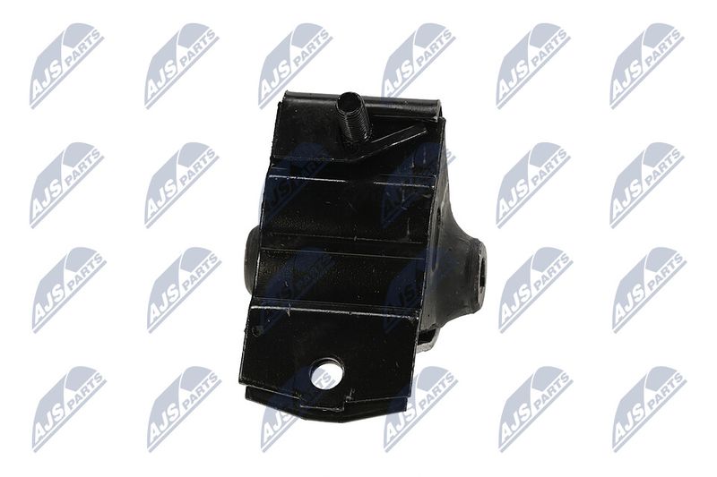 Paigutus, Mootor, NTY ZPS-CH-063