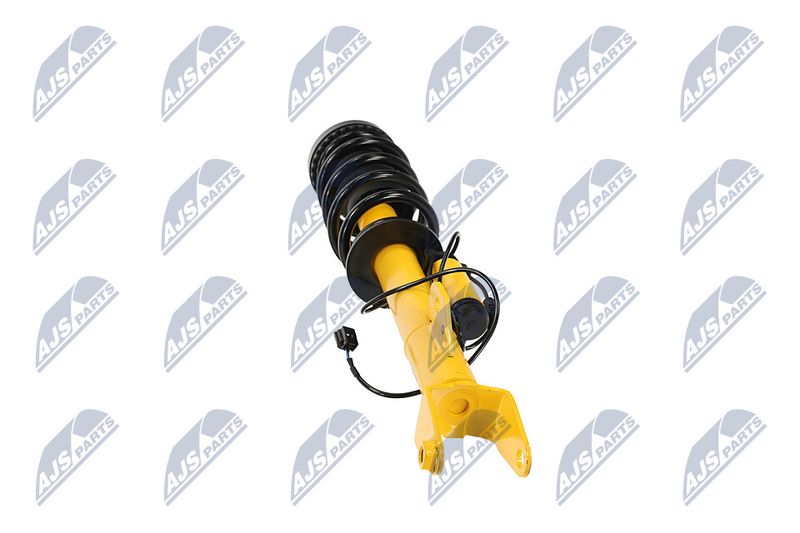 Amort, NTY A-CH-122