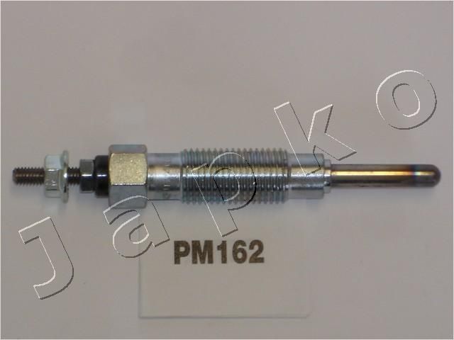 PM162_1.JPG