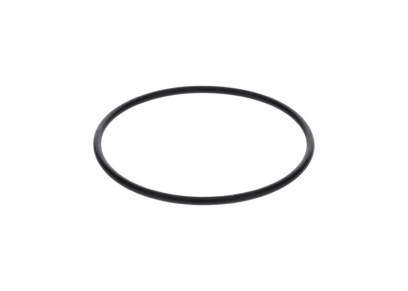 Inel de etansare 1 900 210 154 BOSCH