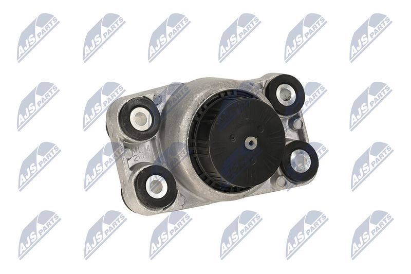 Paigutus, Mootor, NTY ZPS-LR-006