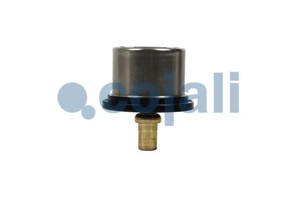 Termostat, chladivo 2880275