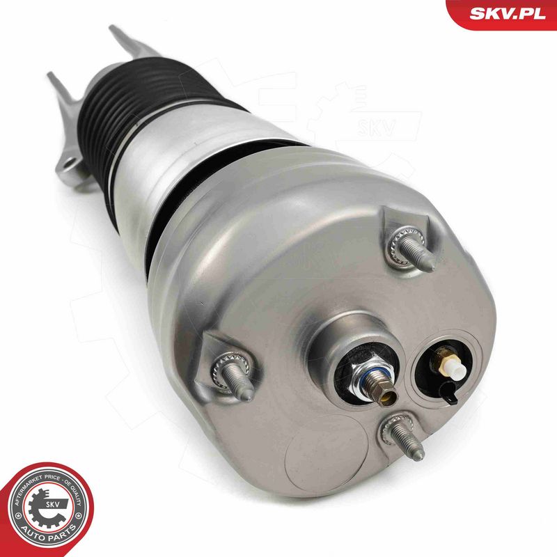 ESEN SKV 58SKV706 Air Suspension Strut