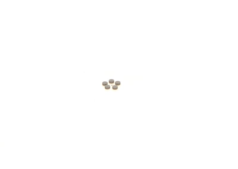 BOSCH 1410067229 Washer