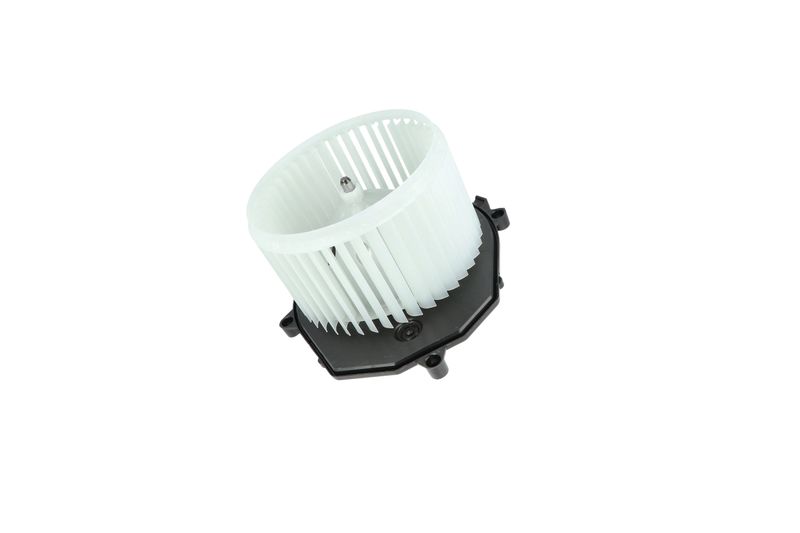 Salongipuhur, NRF 34249