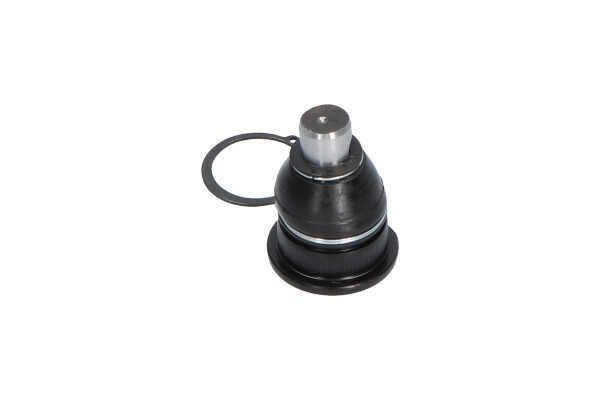 Kavo Parts SBJ-10011 Šarnyras