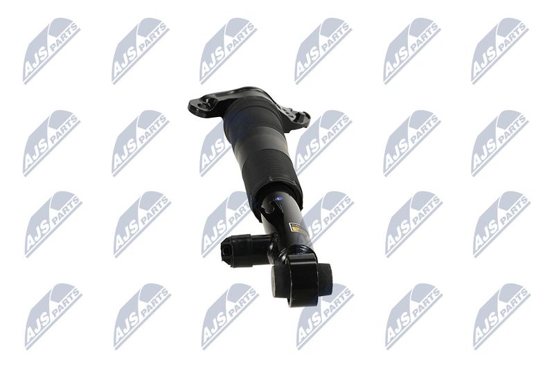 Amort, NTY A-LR-036