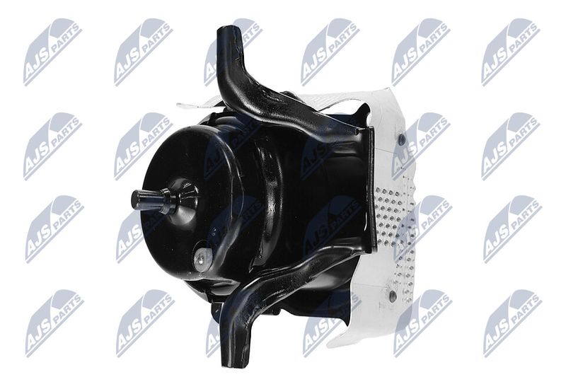 Paigutus, Mootor, NTY ZPS-CH-150