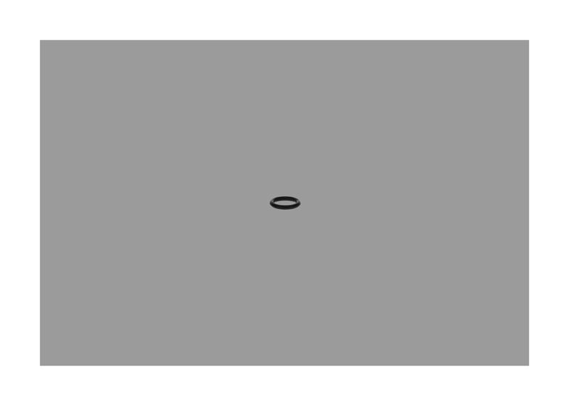 BOSCH F002A51088 Rubber Ring