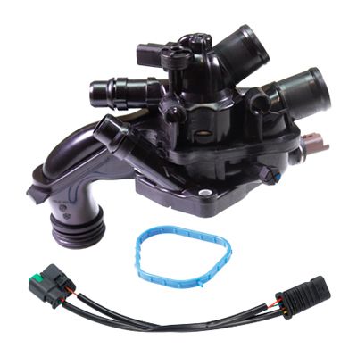VE81045.JPG