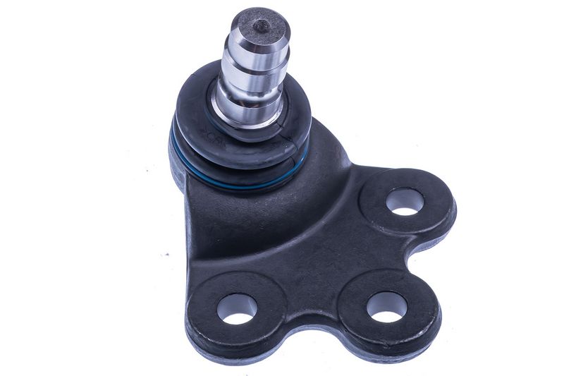 Kande-, juhtliigend, DENCKERMANN D110319